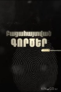Раскрытые дела 1 31